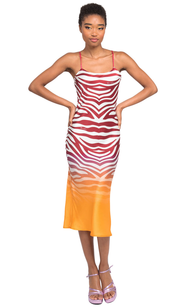 Wine Zebra Ombre Silk Slip Dress