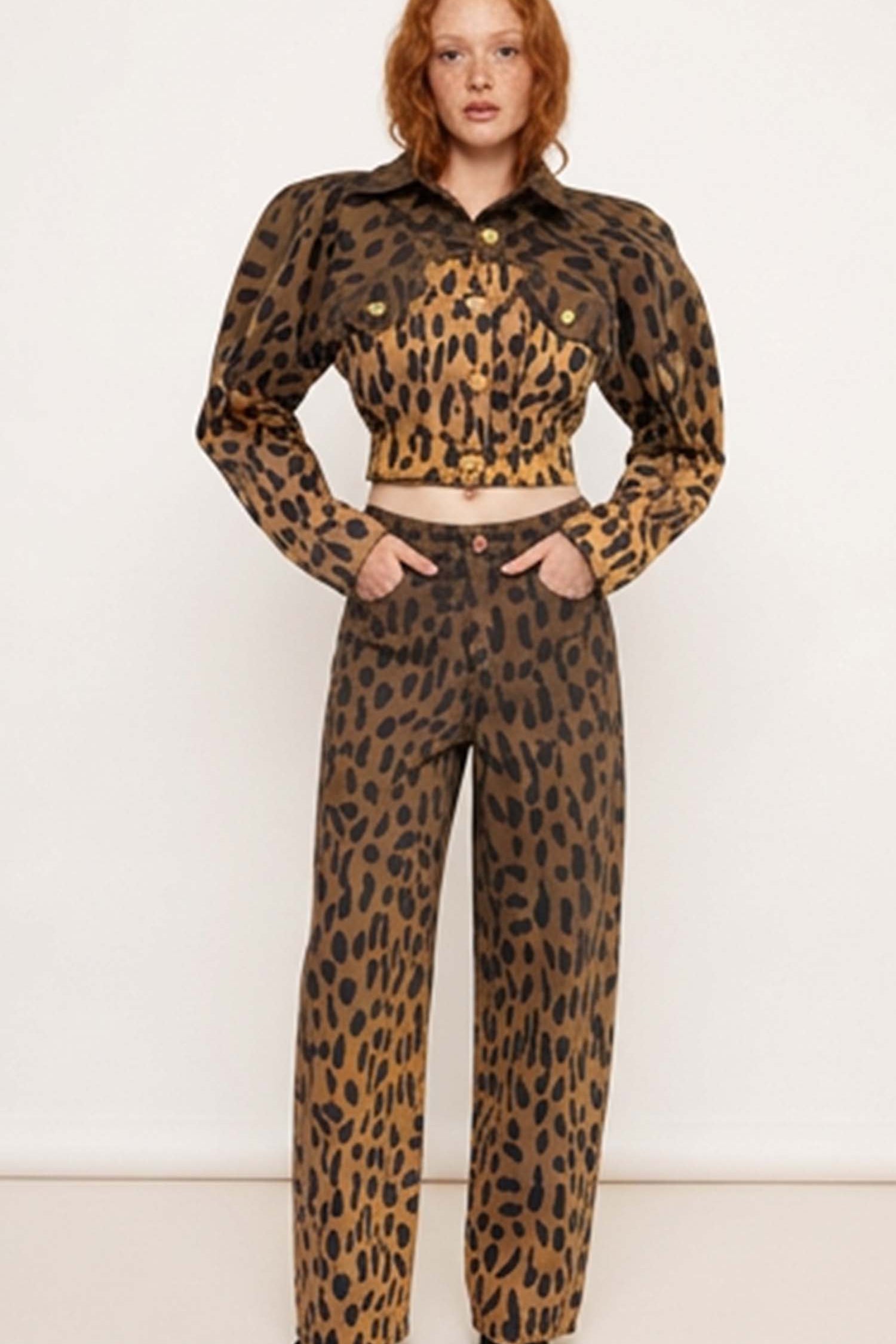 FullLeopard.jpg