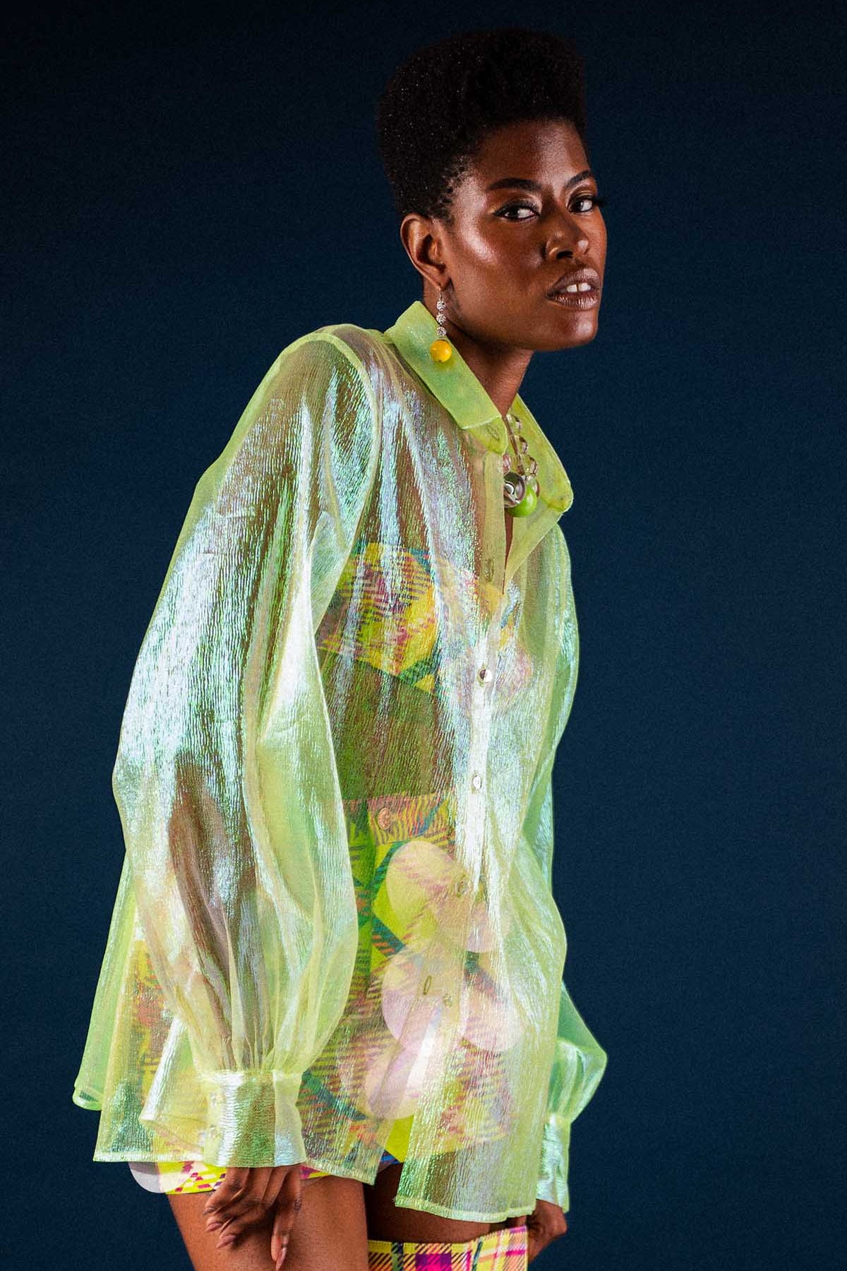 YellowDragonFlyTop2.jpg