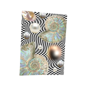 Mother of Pearl Placemat