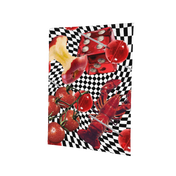 Red Warped Check Placemat