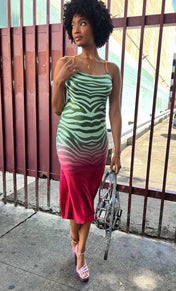 Mint Zebra Ombre Silk Slip Dress